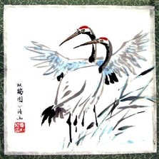 White Crane Pai Lum Tao